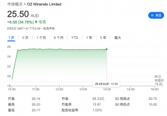 对于一家在大宗商品领域拥有显著增长前景的公司来说