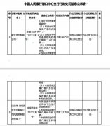 新生支付有网络支付、银行卡收单、跨境支付及预付卡全国发行受理等互联网支付业务