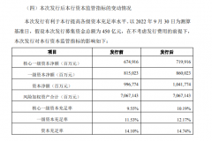 假设发行募集资金总额为 450 亿元