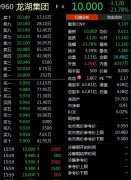 龙湖地产股价一度大跌超40%