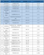 实现营收10.13亿元