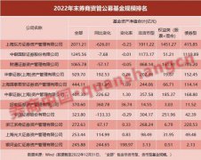  王延飞、张伟锋在四季报“小作文”中表示