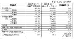  其中人保财险前三季度实现原保费收入4096亿元