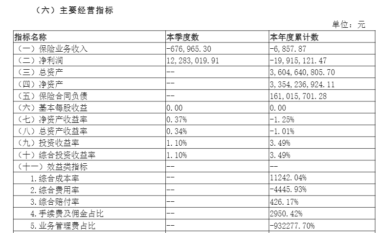 依据偿付才华呈文