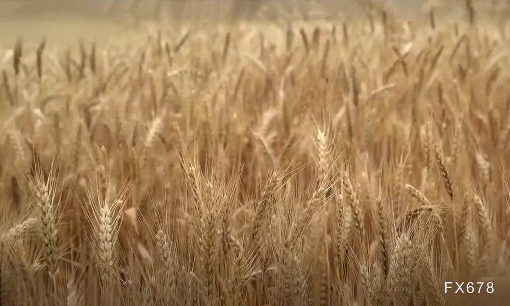 投资者期待预测的降雨能否能阻止最大小麦出口国俄罗斯收获前景的下滑