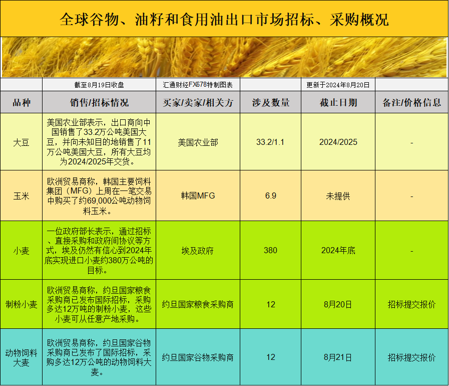 国际交易风向突变：为何物流挑战未能阻挡玉米基差坚挺？