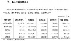 华海财险2019年报：成立5年亏损4.6亿 前5大险种有4款承保亏损