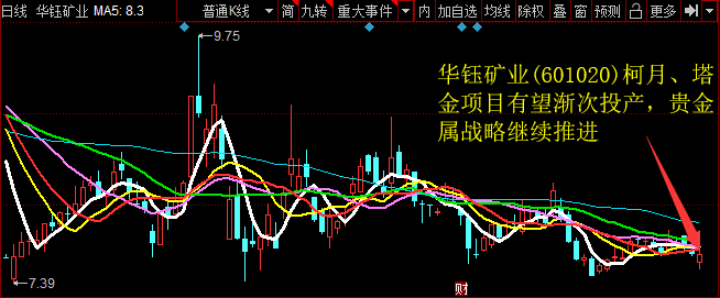 华钰矿业(601020)柯月、塔金项目有望渐次投产，贵金属战略继续推进 