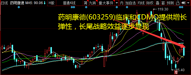 药明康德(603259)临床和CDMO提供增长弹性，长尾战略效益逐步显现