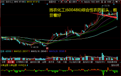 汇率、毛利率波动风险