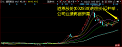 道恩股份(002838)内生外延并举，公司业绩再创新高