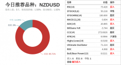 或者反向做空/做多1标准手NZDCHF