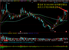 紫金矿业(601899)如何解读紫金再次大手笔并购黄金矿山？