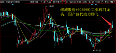 全球占比达到20%-21%