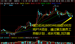 恒力石化(600346)投建500万吨PTA项目，通过第五期员工持股方案，发展可期