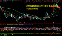 科锐国际(300662)19年业绩增长稳健，科技连续赋能