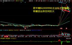 隆平高科(000998)主业处于调整期，转基因业务空间宏大