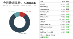 对投资者提出如下建议： 做多/空1标准手AUDUSD的同时