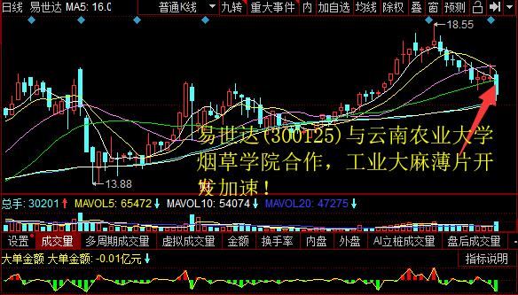 易世达(300125)与云南农业大学烟草学院竞争，工业大麻薄片开发加速！