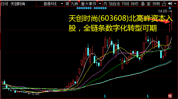 天创时髦(603608)北顶峰成本入股，全链条数字化转型可期