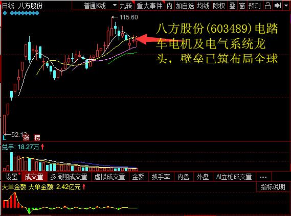 八方股份(603489)电踏车电机及电气系统龙头，壁垒已筑规划全球