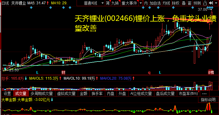 天齐锂业(002466)锂价上涨，负重龙头业绩望改善