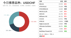 对投资者提出如下建议： 做多/空1标准手USDCHF的同时