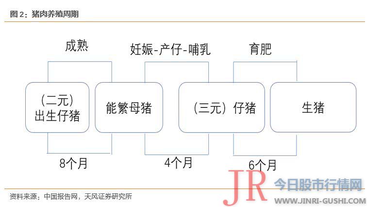 食品权重在1/3摆布