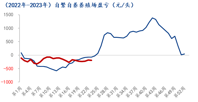 进入6月份养殖端吃亏仍达190元/头高下