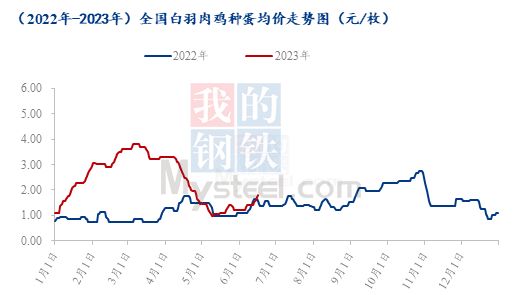 白羽肉鸡种蛋价格迎风而上，涨幅接近50%