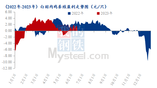 白羽肉鸡种蛋价格迎风而上，涨幅接近50%